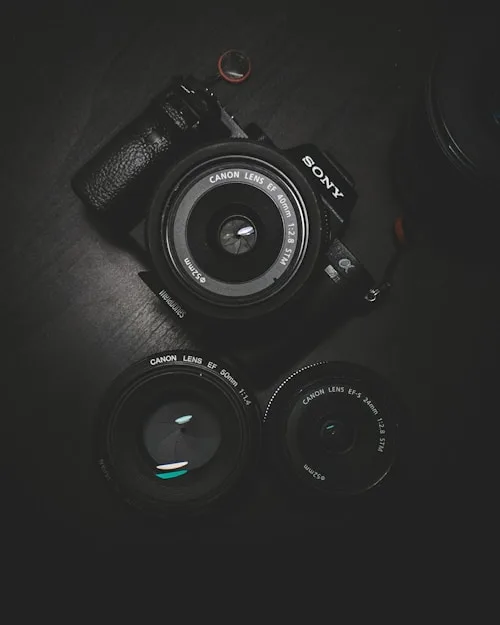 Photography Blog - 鲸鱼体育