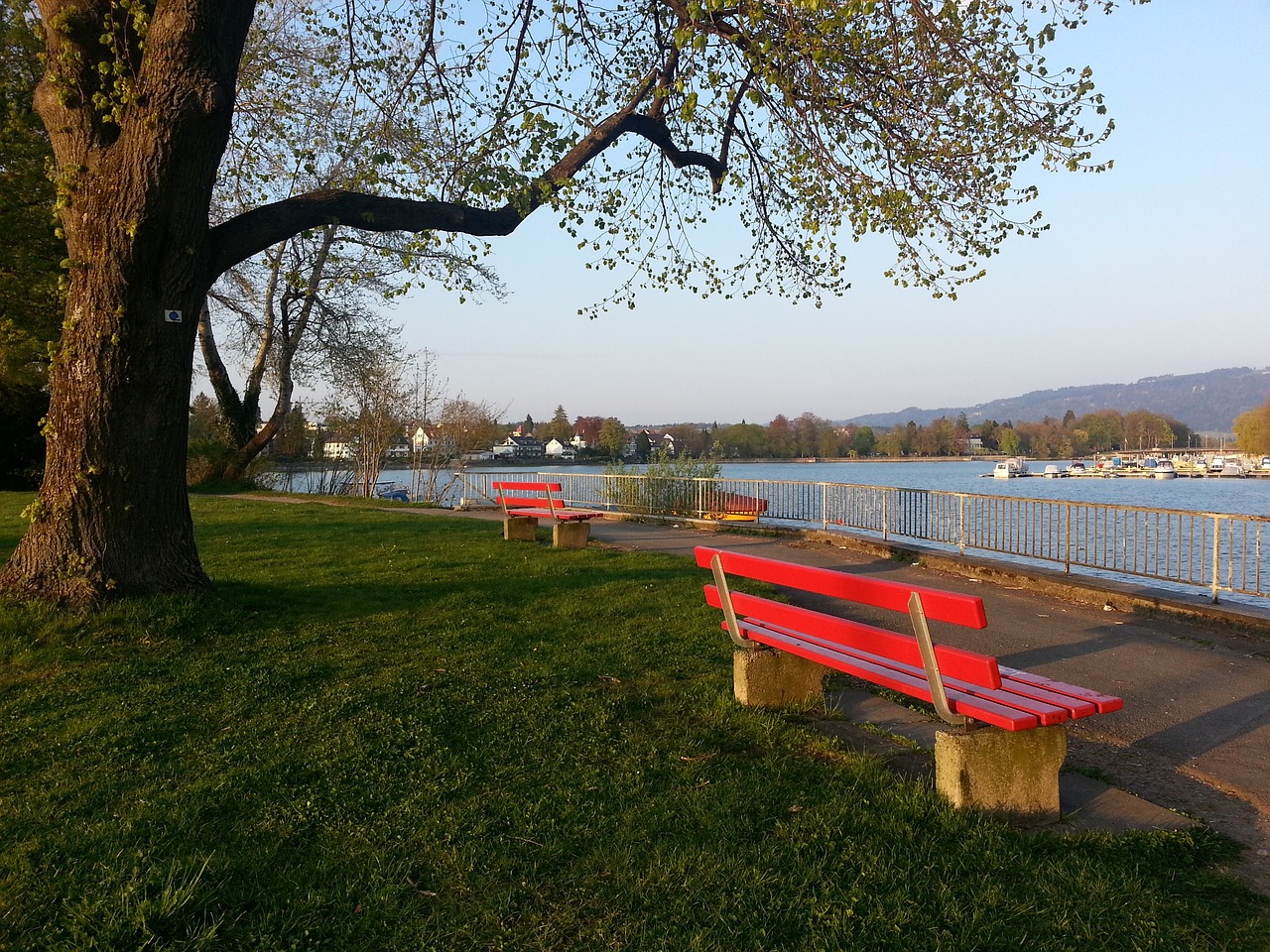 的坚韧与不 的坚韧与不