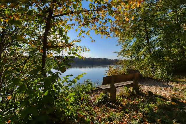 以来是他们 以来是他们