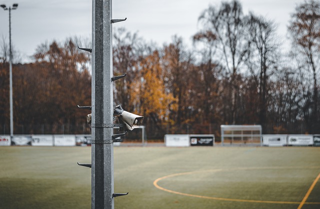 将在接下来 将在接下来