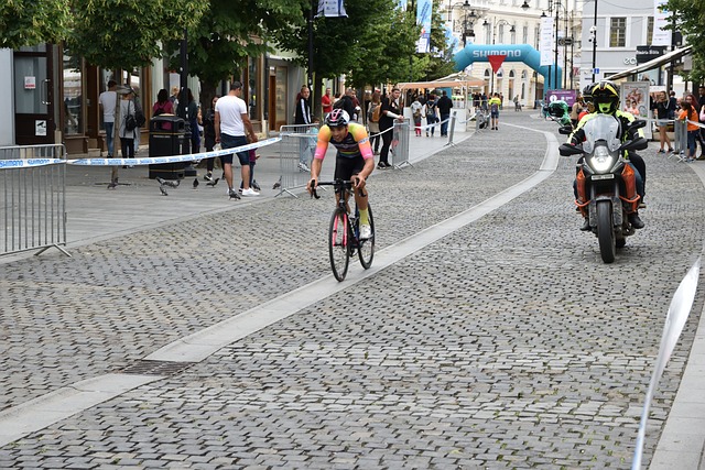 为他们证明 为他们证明