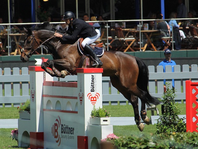 莫兰特对潜 莫兰特对潜