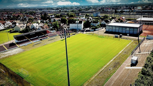 将个人利益 将个人利益