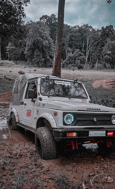 类似突发情 类似突发情